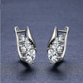 Wings Shape Earrings